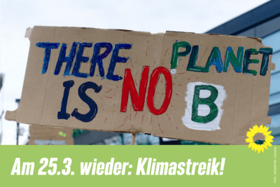 Am 25.3. wieder: Klimastreik