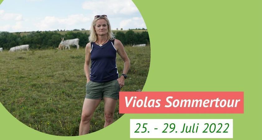 Violas Sommertour